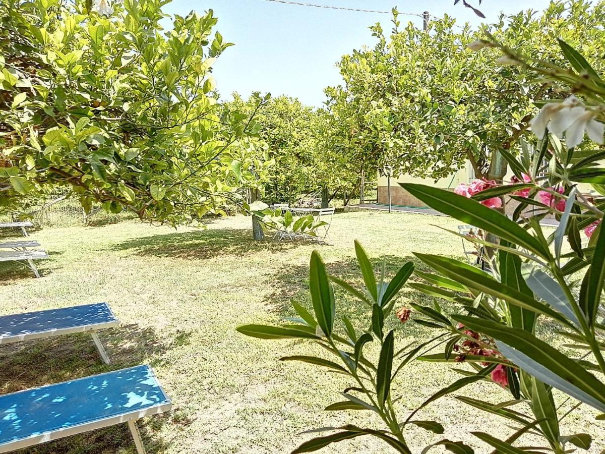 Villa Primofiore Di Vendicari La Banca Extérieur photo